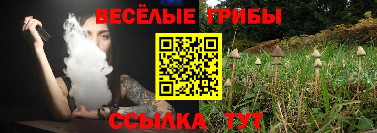Псилоцибиновые грибы мицелий Тара