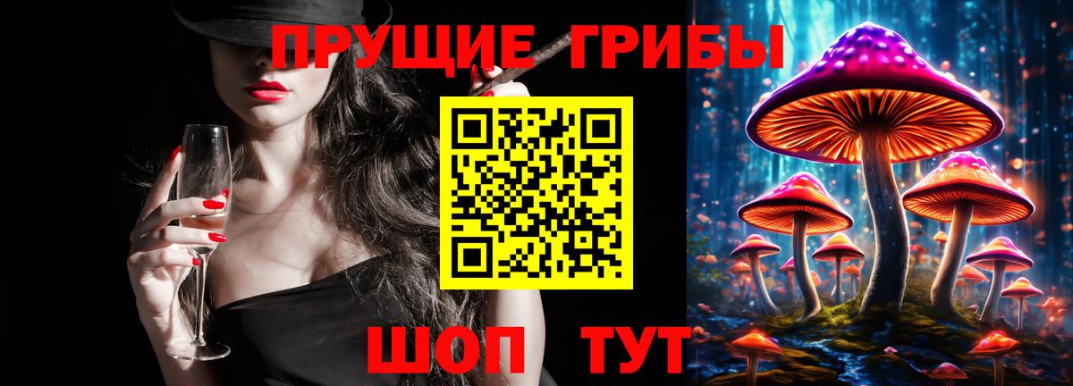 Псилоцибиновые грибы прущие грибы  как найти закладки  Тара  Вход с VPN  Псилоцибиновые грибы Magic Shrooms 