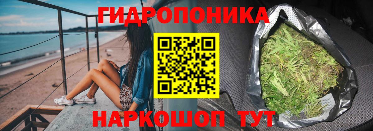 Шишки марихуана индика Тара